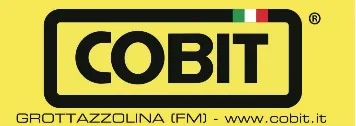 Logo Cobit